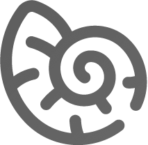 Buscandola Perfección